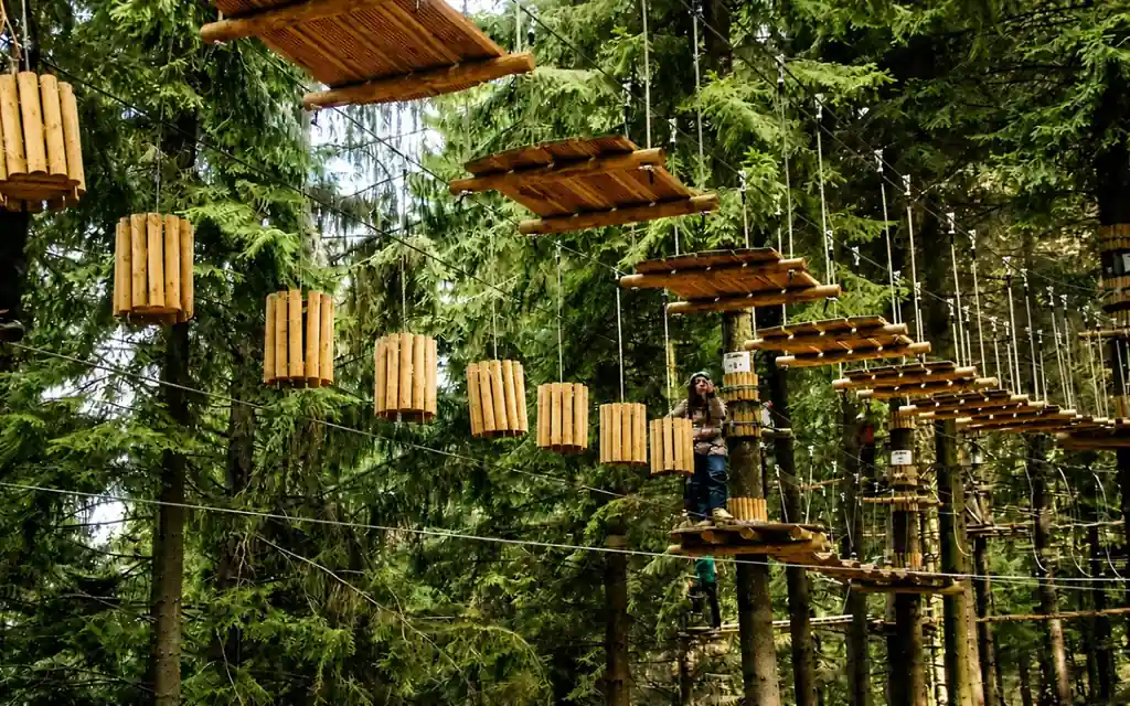 Treetop climbing course at Parc Aventura Brașov, with wooden platforms in the pines
